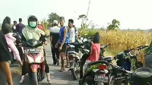 Bakar Jerami di Sawah, Kakek di Lamongan Tewas Terpanggang