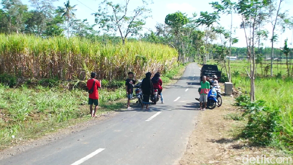 Pemotor tewas dibacok, Berita Lumajang