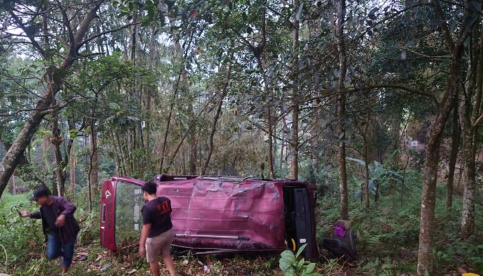 Rem Blong di Tanjakan, Mobil Daihatsu Zebra Tabrak Honda Brio di Pacet Mojokerto
