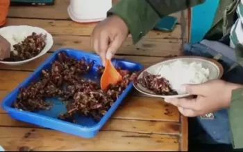 Keracunan belalang goreng, Berita Ponorogo