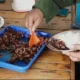 Keracunan belalang goreng, Berita Ponorogo