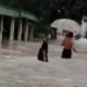 Puluhan rumah terendam banjir, berita Mojokerto