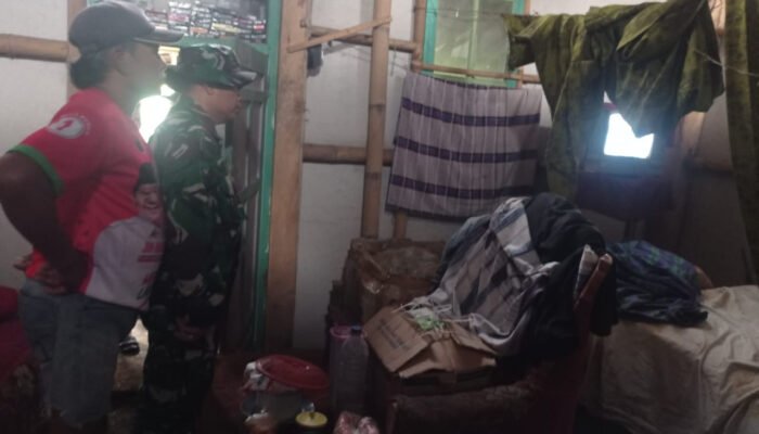 Gempar! Janda di Jember Ditemukan Tewas Membusuk di Rumah Duda