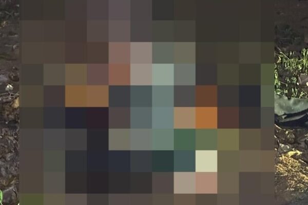 Terungkap! Ini Identitas Mayat Perempuan yang Hangus Terbakar di Bangkalan