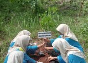 Hijaukan Bumi, Selamatkan Alam dengan Sentuhan Ibadah 