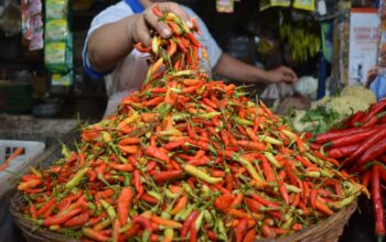 Harga cabai meroket, Pedagang cabai