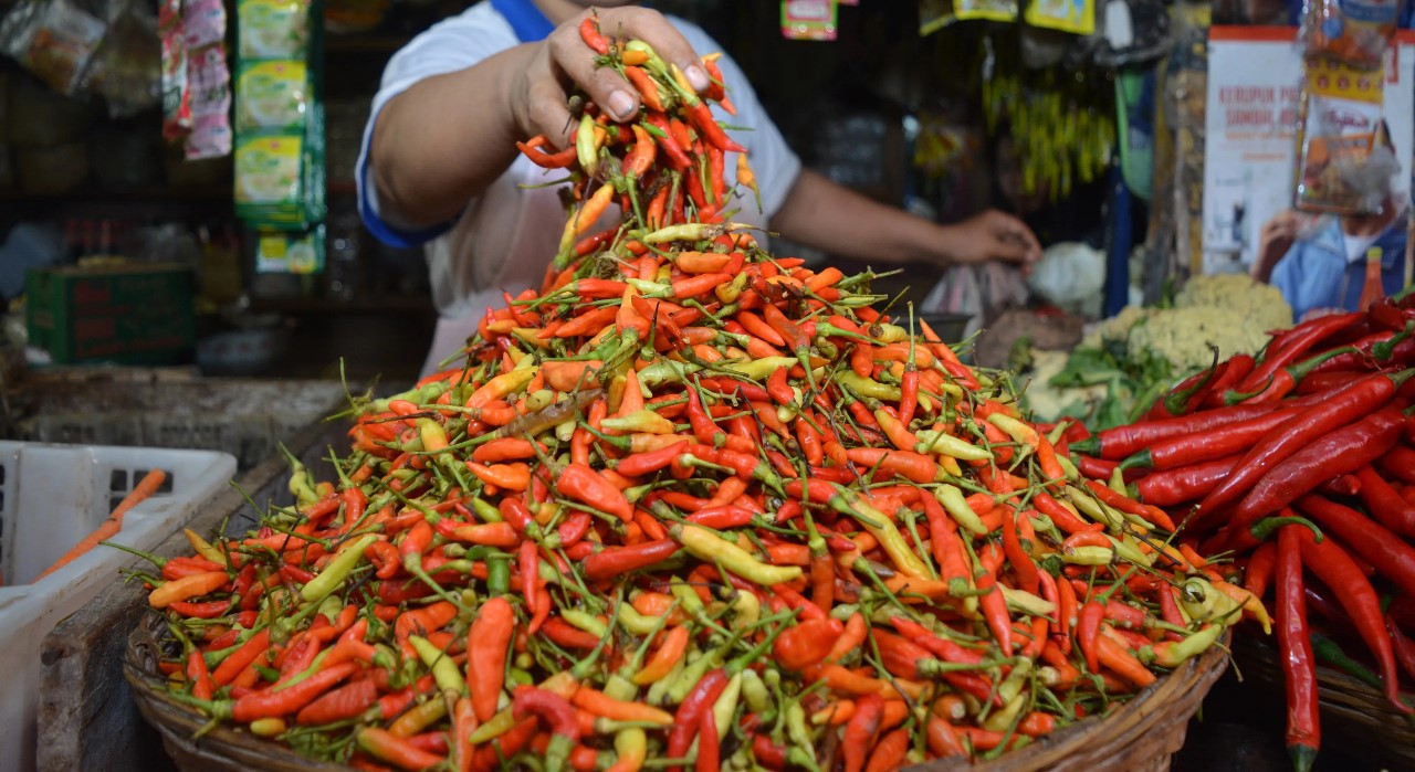 Harga cabai meroket, Pedagang cabai