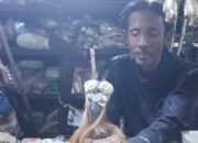 Toko Alat Perdukunan Unik di Surabaya, Diminati Hingga ke Berbagai Daerah