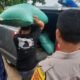 Curi gabah, Berita Bojonegoro