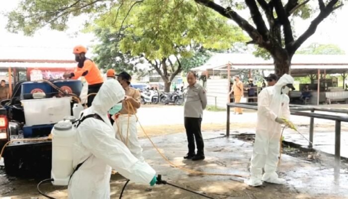 Jatim Tetapkan Status Darurat PMK, Ribuan Ternak Terjangkit