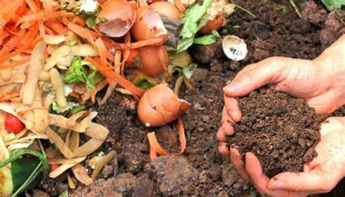 Kurangi Sampah, Begini Cara Membuat Pupuk Kompos dari Sisa Makanan