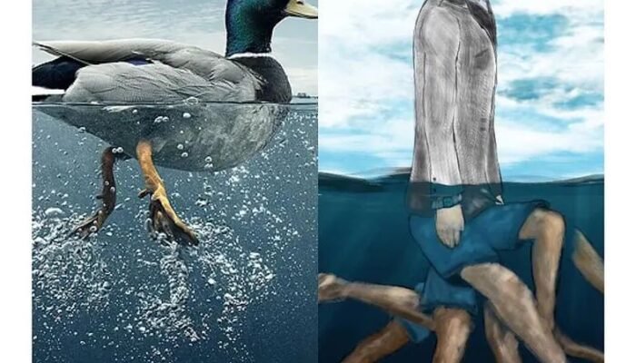 Duck Syndrome: Fenomena di Balik Ketenangan yang Menyesatkan
