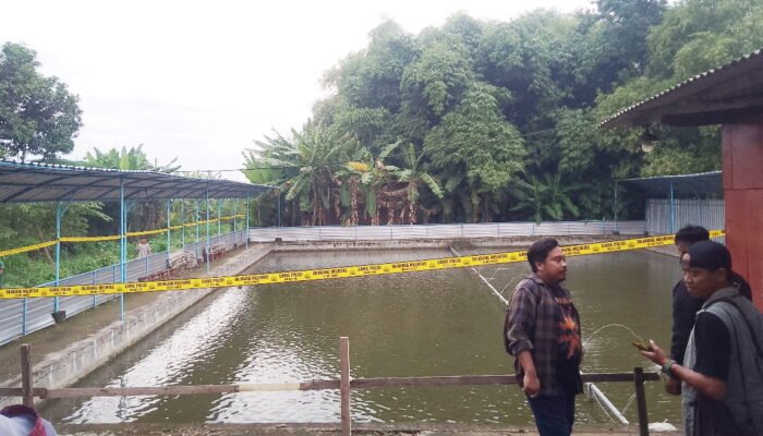 Balita 3 Tahun di Mojokerto Tewas Tenggelam di Kolam Ikan, Diduga Terpeleset Saat Bermain