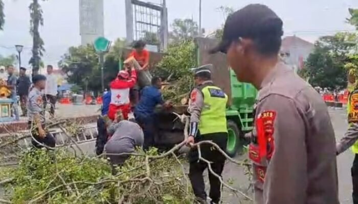 Pohon Tumbang Saat Sholat Idul Fitri, Dua Jemaah Meninggal di Pemalang