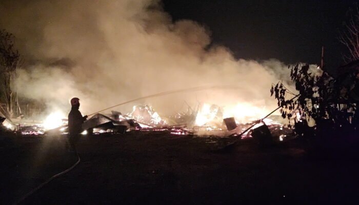 Kebakaran Hebat Luluhlantakkan Kandang Ayam di Mojokerto, 50 Ribu Anak Ayam Tewas