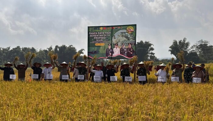 Produksi Padi Mojokerto Meningkat, Bupati Gus Barra Optimis Capai Swasembada Pangan