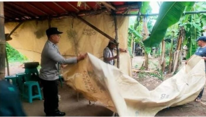 Polisi Gerebek Arena Sabung Ayam di Nganjuk, Barang Bukti Diamankan