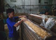 Proses pembuatan tempe oleh perajin di Mojokerto