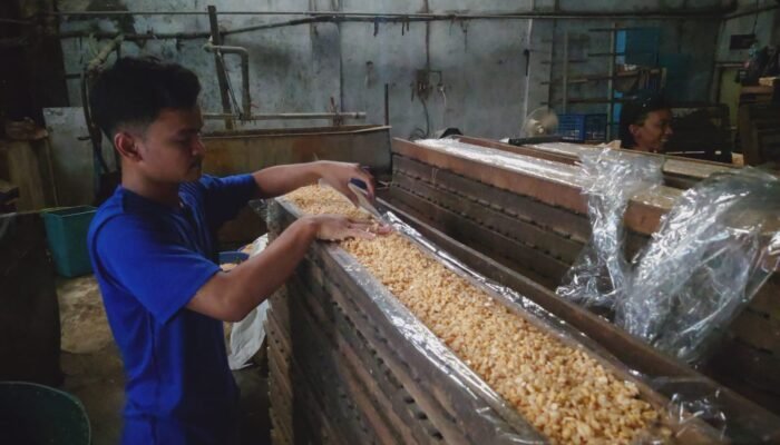 Harga Kedelai Impor Tembus Rp 9.600/Kg, Perajin Tempe di Mojokerto Tekan Ukuran Produksi