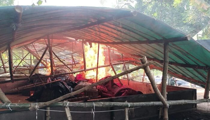 Polres Mojokerto Bakar Dua Lokasi Sabung Ayam