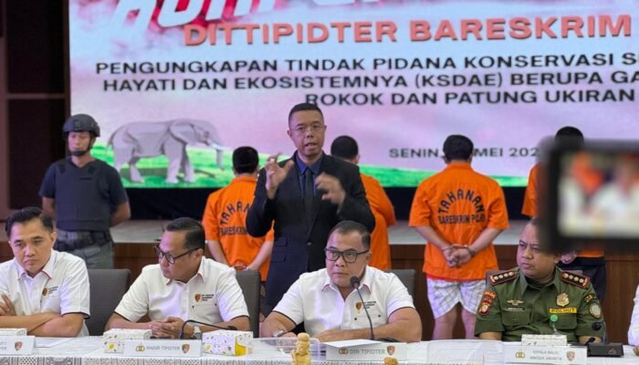 Jual Gading Gajah Lewat Medsos, Dua Pria Diciduk Polisi