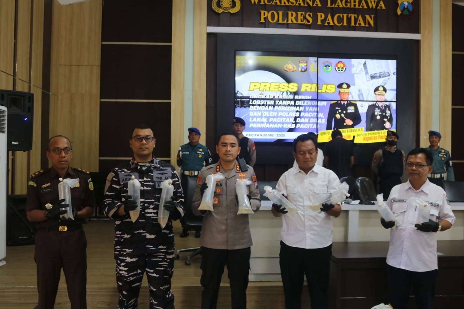 penyelundupan benur Pacitan, kurir benih lobster ditangkap, Polres Pacitan sita benur, benur ilegal Solo