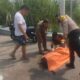 kecelakaan mojokerto, satpol pp tewas, motor oleng tabrak beton, laka tunggal puri, anggota satpol pp mojokerto