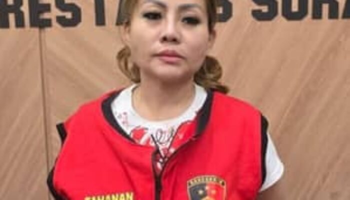 Jan Hwa Diana, Bos UD Sentosa Seal Jadi Tersangka Pengerusakan Mobil