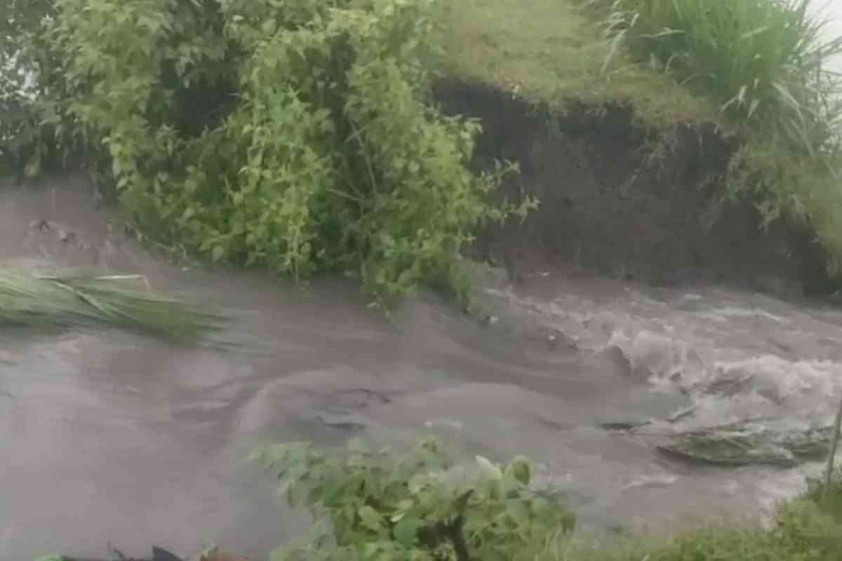 banjir Mojokerto, sawah tergenang air, bencana Desa Salen, debit air naik