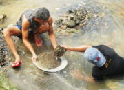 emas di sungai Tulungagung, warga cari emas Keboireng, viral tambang emas Tulungagung, mendulang emas Jawa Timur