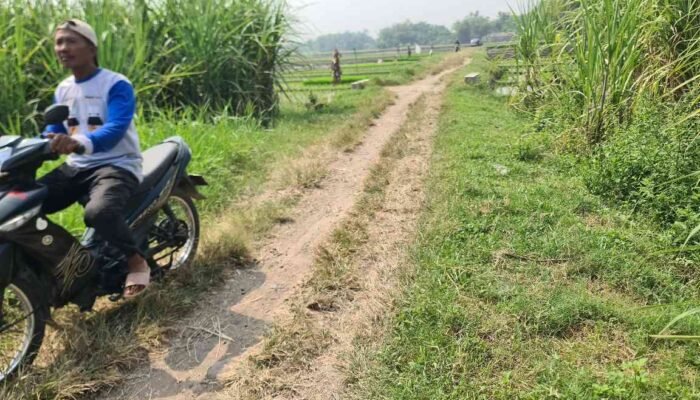 Anggaran Sudah Cair, Proyek Jalan Tani di Kembangringgit Mojokerto Belum Berjalan