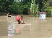 Puluhan Rumah di Gresik Terendam Banjir Hingga 1,5 Meter, Warga Dievakuasi BPBD