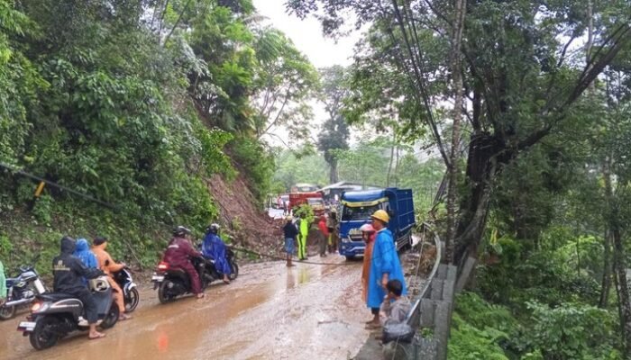 Longsor Tutup Akses Malang-Lumajang, Tebing 10 Meter Ambrol Akibat Hujan Deras