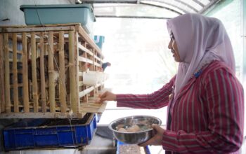 Wali Kota Mojokerto meninjau aktivitas pengelolaan sampah di Bank Sampah Migunani