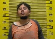 Pelaku pembunuha driver ojol