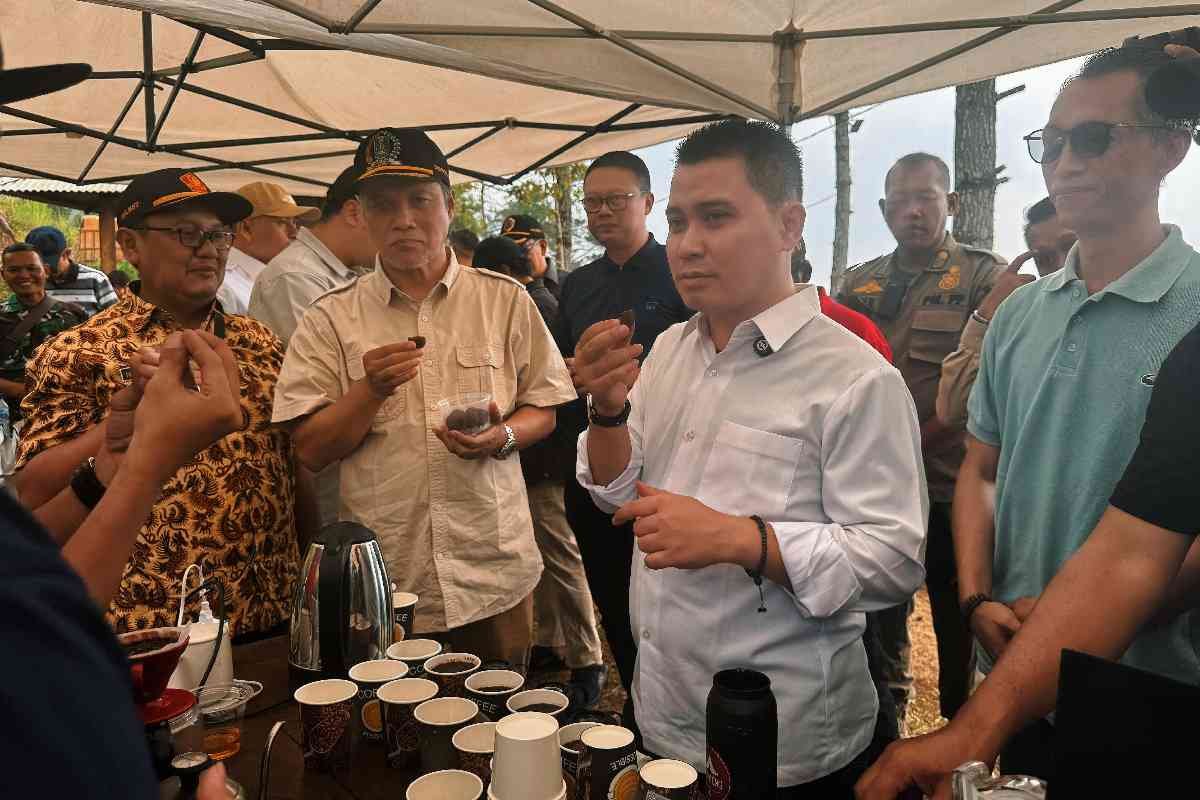 Pembukaan lahan kopi baru di Ketapanrame, Trawas sebagai langkah penguatan sektor ekowisata Mojokerto