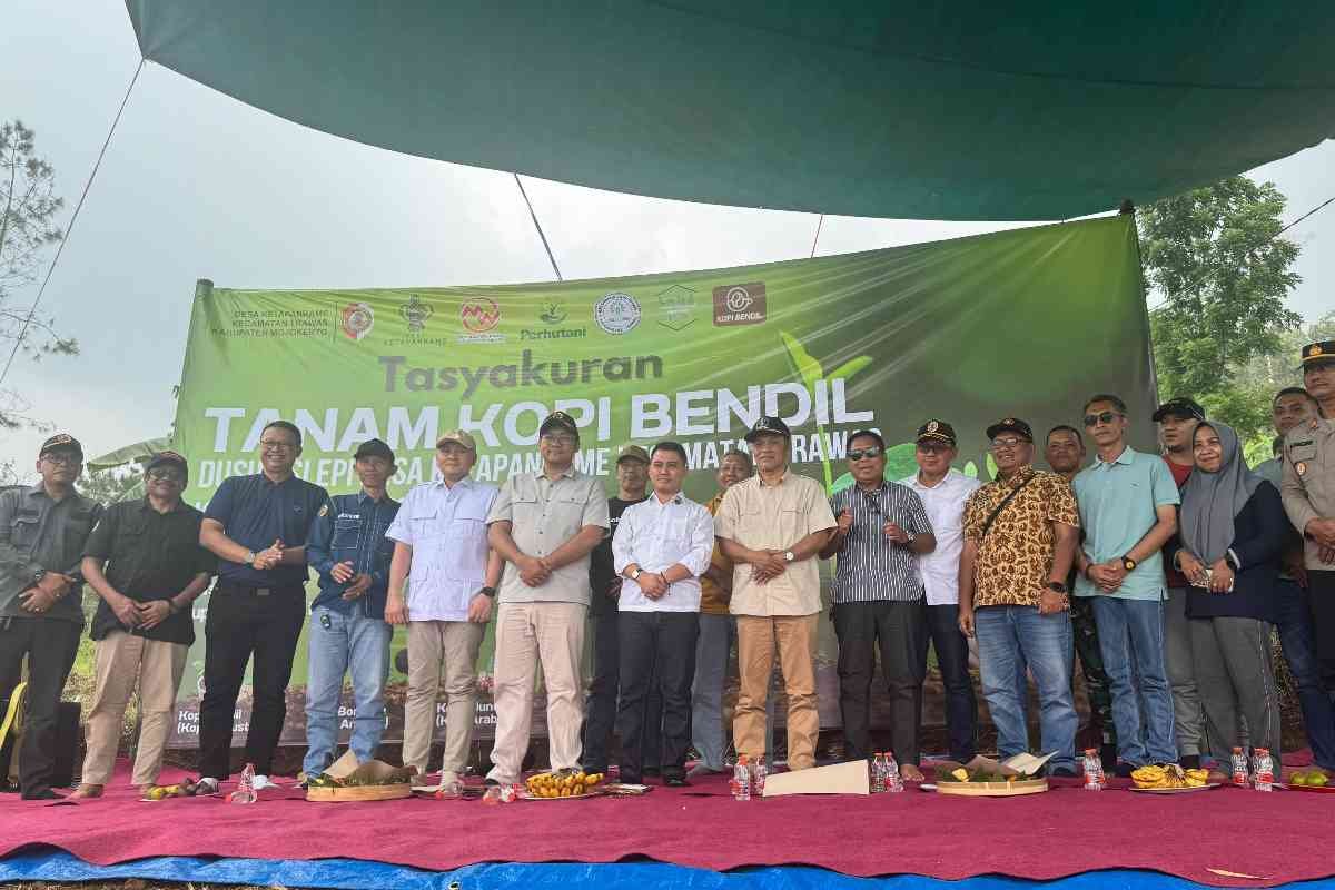 Pembukaan lahan kopi baru di Ketapanrame, Trawas sebagai langkah penguatan sektor ekowisata Mojokerto