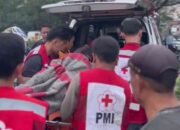 Pria meninggan mendadak di sawah