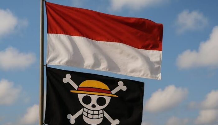 Wakil Ketua DPR Sebut Pemasangan Bendera One Piece Bisa Pecah Belah Bangsa