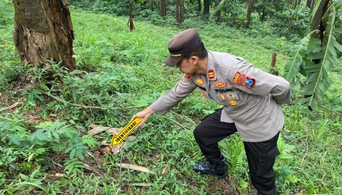 Terungkap! Korban Mutilasi Pacet Mojokerto Perempuan Lajang Berusia 25 Tahun
