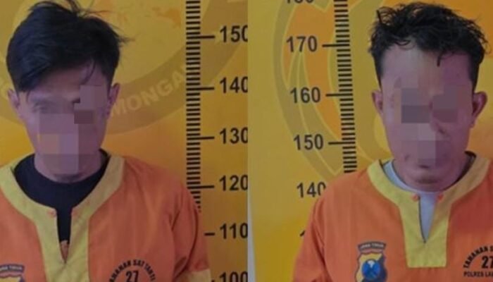 Dua Pengedar Sabu Diciduk Satresnarkoba Polres Lamongan Saat Operasi Tumpas Narkoba