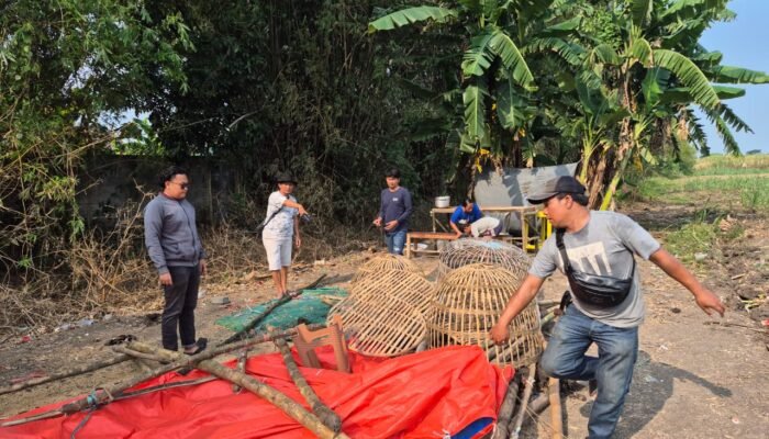Polisi Bongkar Arena Sabung Ayam di Mojokerto, Lima Orang Diamankan dan Puluhan Motor Disita