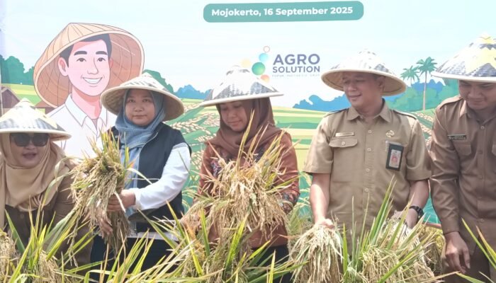 Hasil Panen Capai 8 Ton Perhektare  , Ning Ita Apresiasi program Agrosolution Pupuk Kaltim