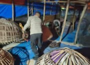 Polres Lamongan Bongkar Dua Arena Judi Sabung Ayam, Pelaku Kabur Saat Digerebek
