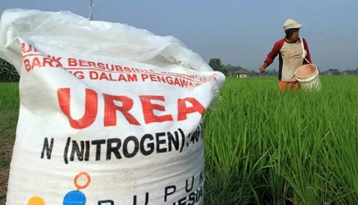 Petani Mojokerto Keluhkan Harga Pupuk Tidak Sesuai HET, PPI Siap Laporkan ke Menteri Pertanian