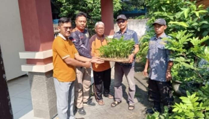 Dorong Gerakan Ketahanan Pangan, Kelurahan Magersari Galakan Cabenisasi 