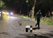 Pemotor Tewas Usai Tabrakan dengan Mobil di Jalan Sungkono Mojokerto, Dua Penumpang Luka