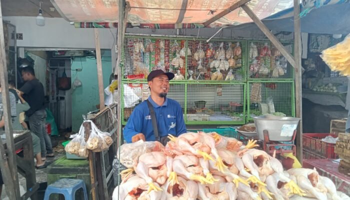 Jelang Ramadhan 1447 Hijriah 2026, Harga Ayam Broiler Di Mojokerto Tertahan Tinggi Imbas dari Tradisi Nyadran