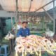 Jelang Ramadhan 1447 Hijriah 2026, Harga Ayam Broiler Di Mojokerto Tertahan Tinggi Imbas dari Tradisi Nyadran