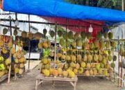 Pesta Durian Februari di Mojokerto, Harga Lokal Mulai Rp37 Ribu hingga Musang King Rp400 Ribu
